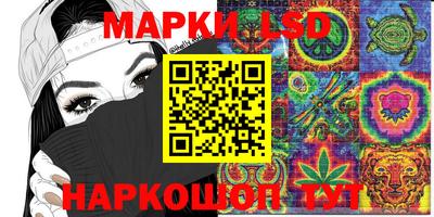 ECSTASY Славгород