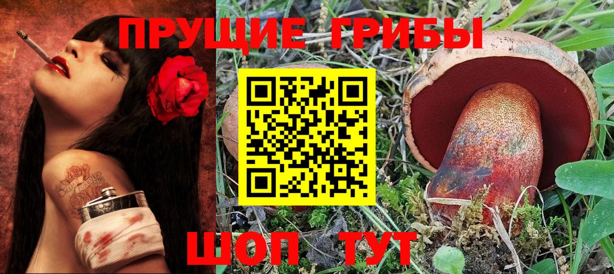 Галлюциногенные грибы Psilocybine cubensis  Галлюциногенные грибы Cubensis  Вход с VPN  Советск 